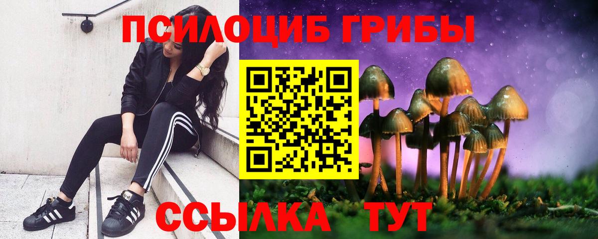 Псилоцибиновые грибы Psilocybe Джанкой